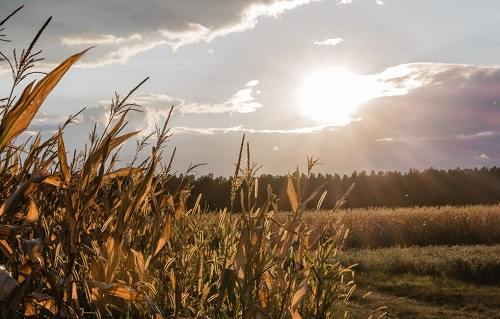 1654831566167494.png image.png