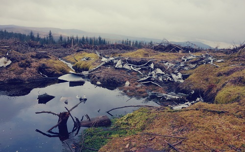 1661226061195274.png image.png