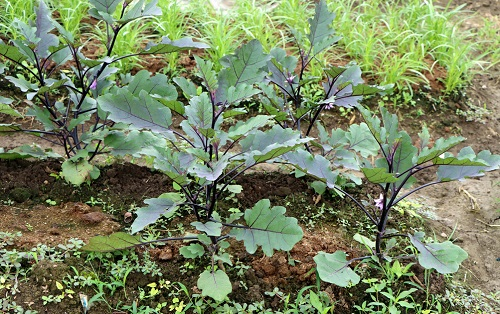 1670219365117081.png image.png