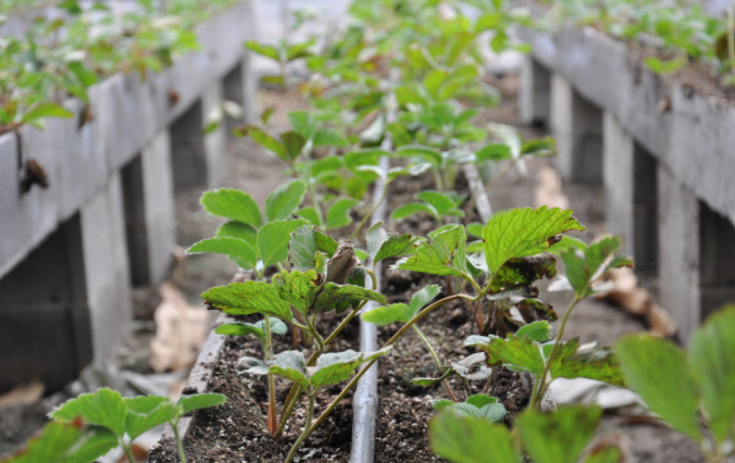 1685067246111921.png 土壤墑情監測站